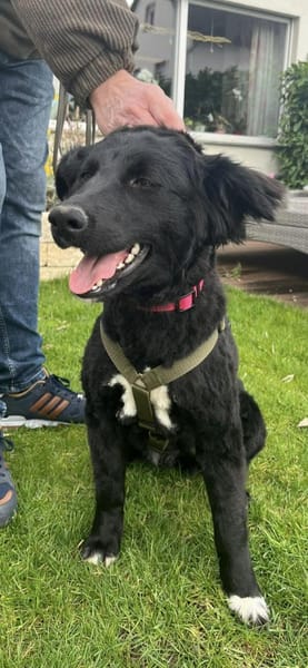 Liebe Rea sucht Dich