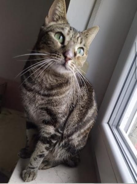 verspielte Julie 😻