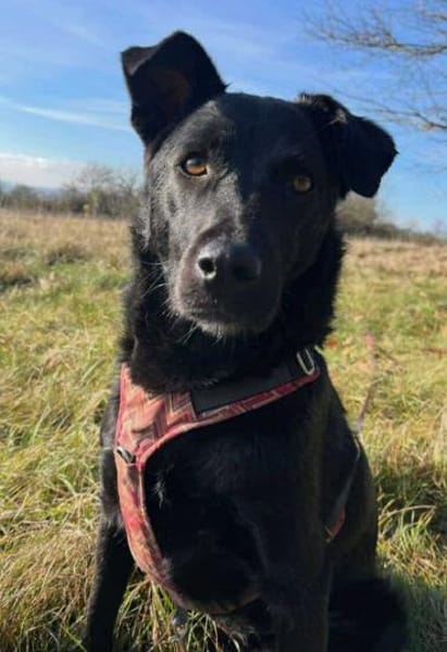 LUNA -auf der Suche nach Geborgenheit!