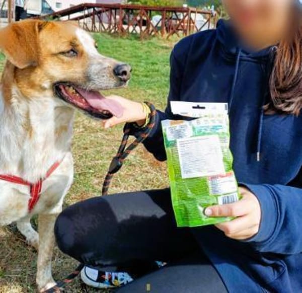 ❤Carino - Handicap......Chancenlos???