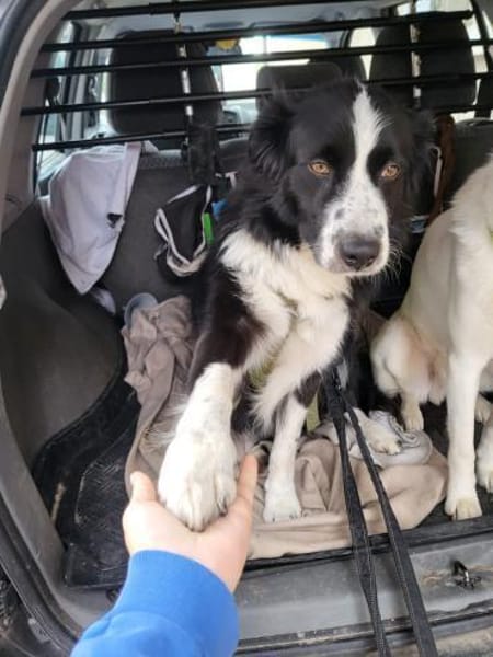 ARKANI - sanfter Umgang, klare Regeln