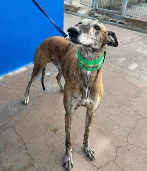 WALLY - auf PS in NRW!