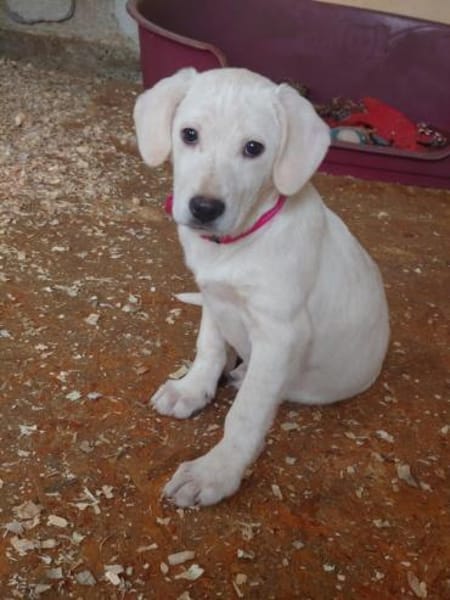 Luise wartet in 49413 Dinklage