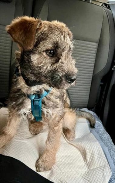 Iraya - kleine Herzensdiebin