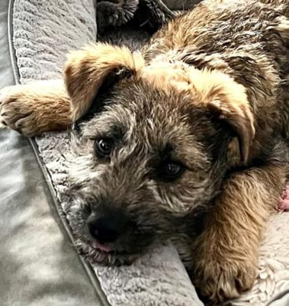 Iraya - kleine Herzensdiebin