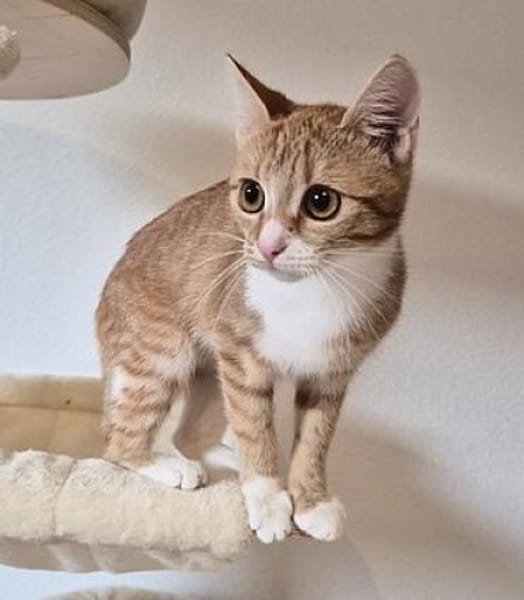 Ziehmutter Indira und Waisenkind Ilona