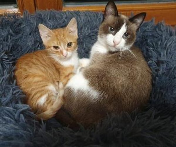 Ziehmutter Indira und Waisenkind Ilona