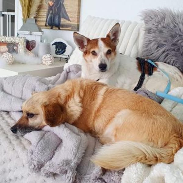 Melba ❤ möchte so gern Vertrauen fassen