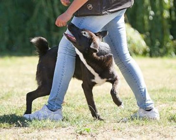 Ghandi möchte endlich ankommen!
