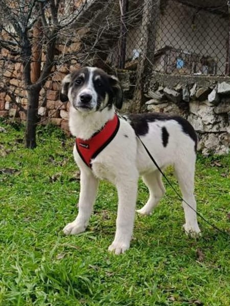 Marcy ein super liebes Mädchen