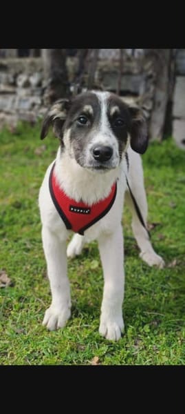 Marcy ein super liebes Mädchen