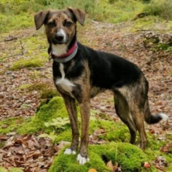 Aida-wartet in 96178 Pommersfelden