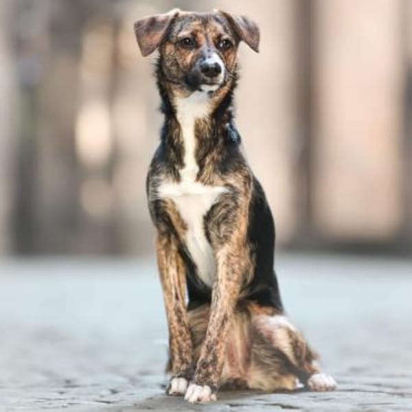 Aida-wartet in 96178 Pommersfelden