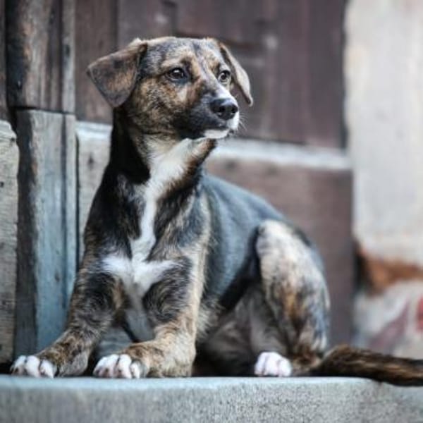 Aida-wartet in 96178 Pommersfelden