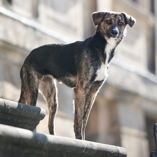 Aida-wartet in 96178 Pommersfelden