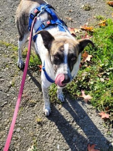 KARLOTTA -sucht erfahrene Menschen-