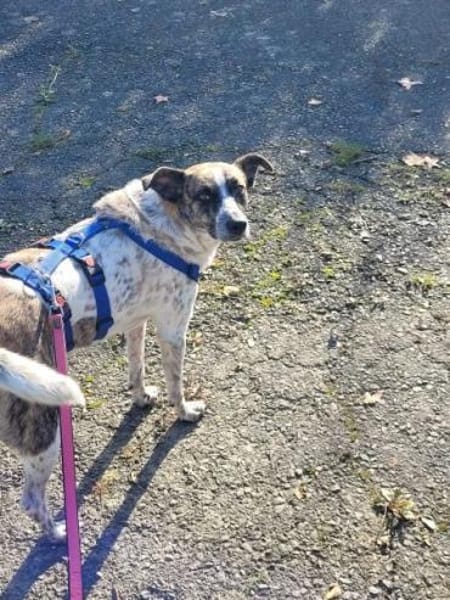 KARLOTTA -sucht erfahrene Menschen-