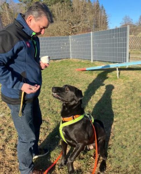 NICKI sucht jemanden mit Hundeerfahrung.