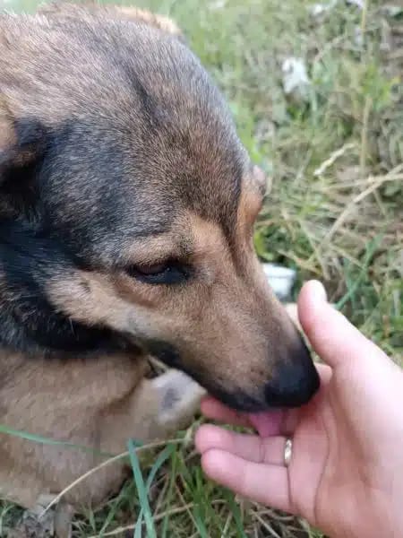 AYLA * ruhige, schüchterne Sie