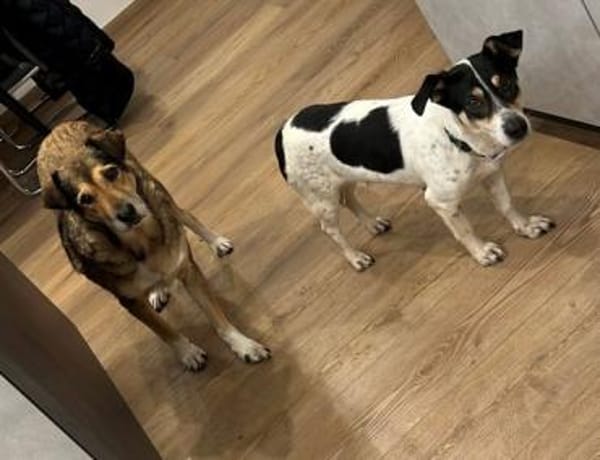 LILOFEE -Bezaubernde, zarte Seele-