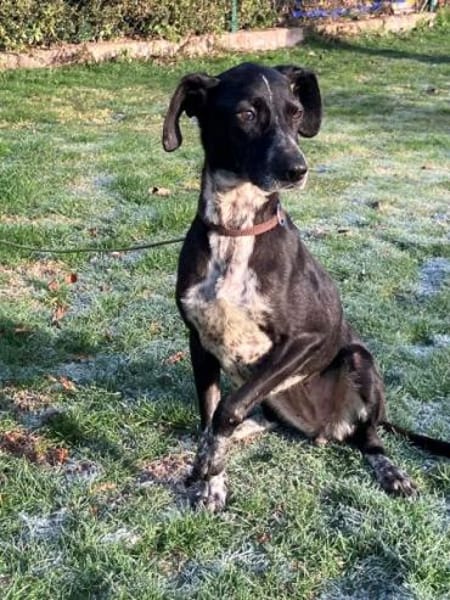 ADJA -Super lieb, fröhlich & aktiv-