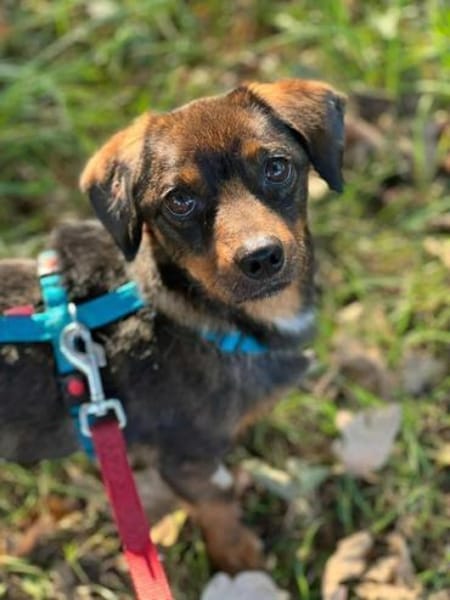 ANSELMO * winziges Charakter Kerlchen