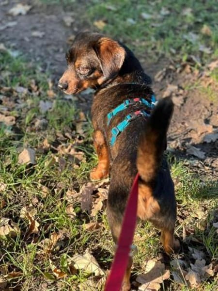 ANSELMO * winziges Charakter Kerlchen