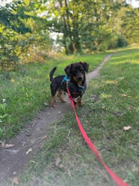 ANSELMO * winziges Charakter Kerlchen