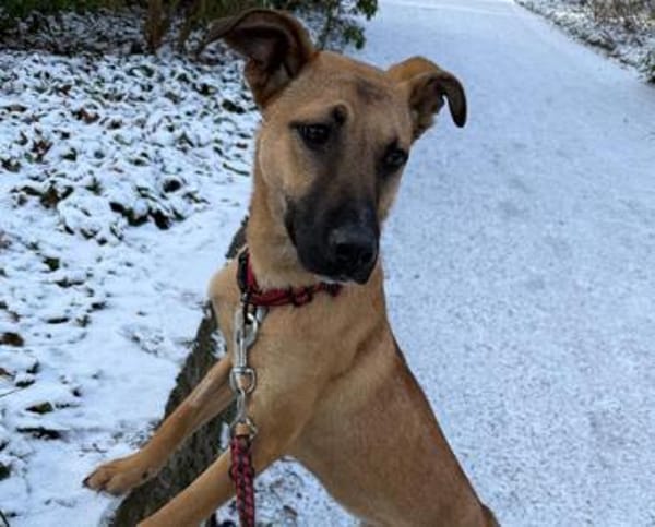 Mattis wartet in Dortmund