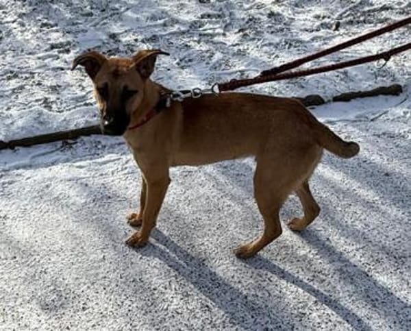 Mattis wartet in Dortmund