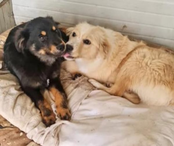 zarte  kleine Motte 🥰