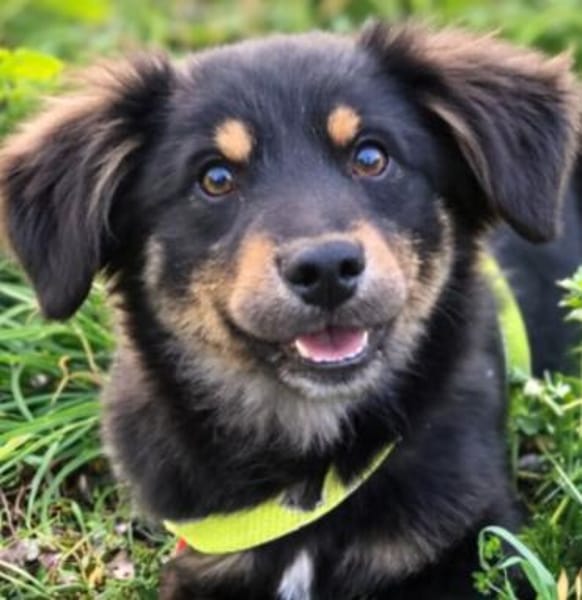 zarte  kleine Motte 🥰