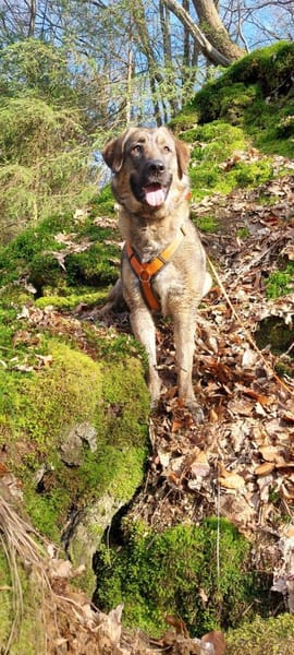 Die liebe 💕Raija 💕sucht ihre Menschen