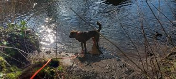 Die liebe 💕Raija 💕sucht ihre Menschen