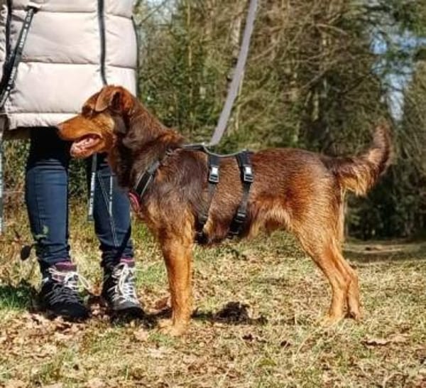 Karlisucht sein Körbchen