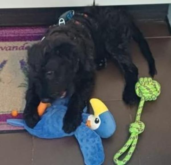 James° 61250 Usingen