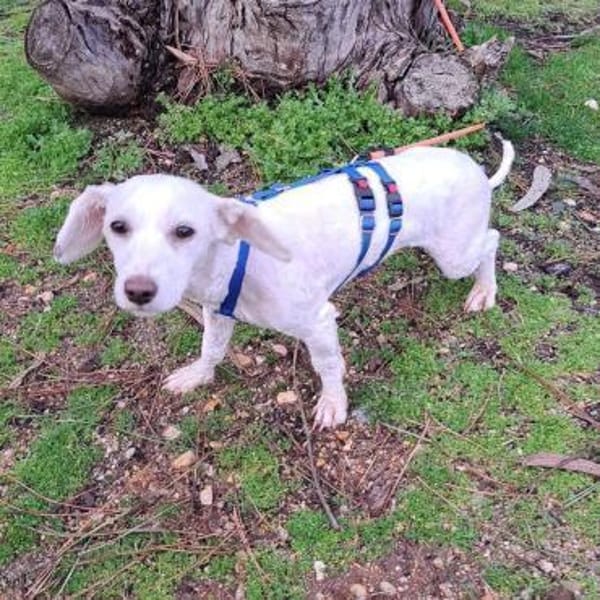 Wolke ❤ mit allen sehr sozial