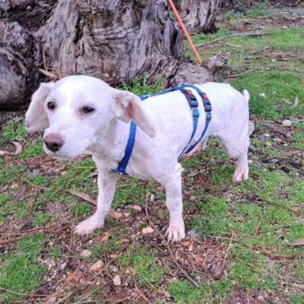 Wolke ❤ mit allen sehr sozial