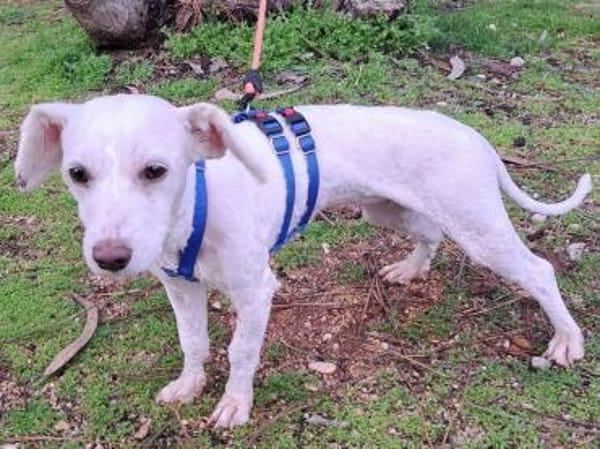 Wolke ❤ mit allen sehr sozial