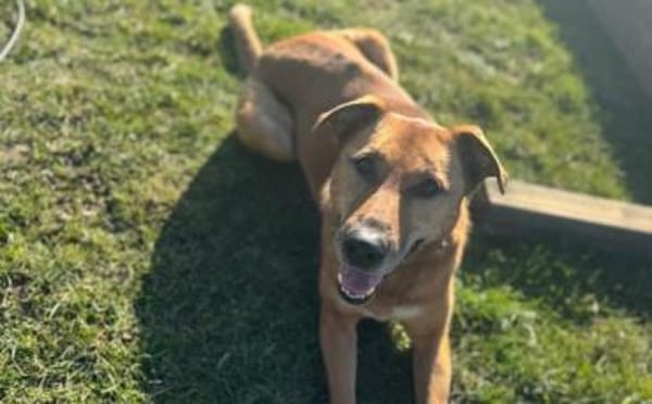 Die süße Finja möchte noch viel erleben