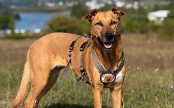 Die süße Finja möchte noch viel erleben