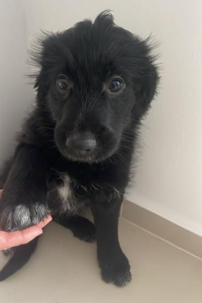 Vroni ❤ auf die Plätze, fertig, spielen