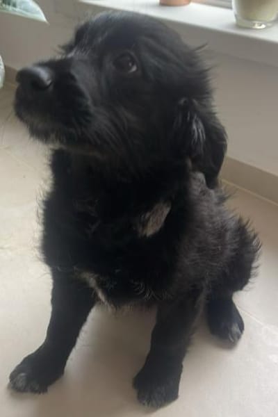 Vroni ❤ auf die Plätze, fertig, spielen