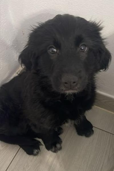 Vroni ❤ auf die Plätze, fertig, spielen