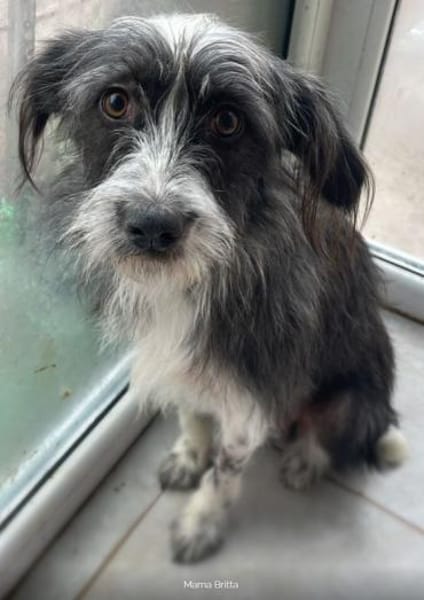 Vroni ❤ auf die Plätze, fertig, spielen