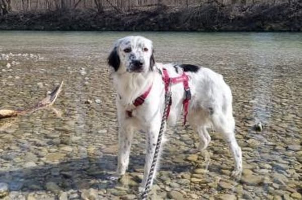 Marte - wartet in 85354 Freising