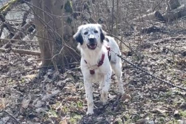 Marte - wartet in 85354 Freising