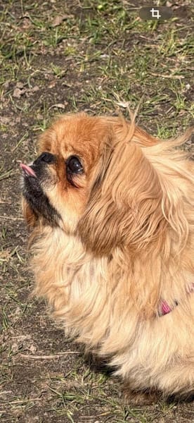 Sonnenschein sucht Dich