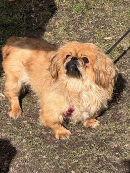 Sonnenschein sucht Dich