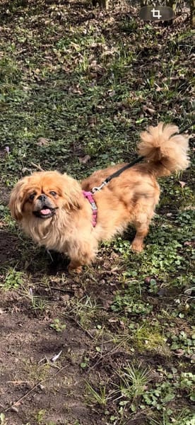 Sonnenschein sucht Dich